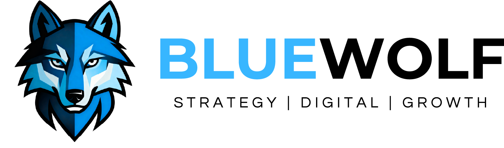 BlueWolf | Growth Marketing for Med Spas & High-Growth Brands